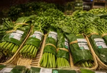 Langkah Hijau! Thailand Kurangi Plastik Pakai Daun Pisang
