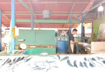 Harga Ikan di Lhokseumawe Stabil jelang Idul Fitri