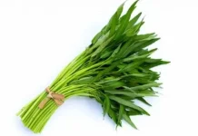 Sisi Ajaib Kangkung, Sayuran Sederhana dengan Manfaat Luar Biasa