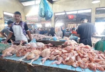 Harga Ayam Potong di Pasar Inpres Lhokseumawe Capai Rp90 Ribu per Ekor