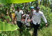 Hilang saat Banjir, Warga Aceh Utara Ditemukan Meninggal di Kebun