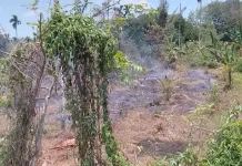 Kebakaran Lahan Alue Lim Berhasil Dipadamkan