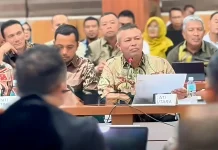 Bupati Ayahwa Minta Pusat Segera Perbaiki 18 Ribu Hektar Sawah Rusak
