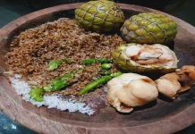 Rumbia, "Salak Hutan Aceh" yang Kian Langka