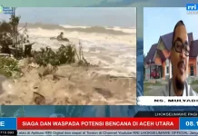 Mitigasi Jangka Panjang, BPBD Usulkan Kajian Risiko Bencana Pasca Banjir Besar