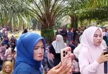 Petani Tiga Kecamatan Kembali Menggelar Aksi di PT-PN Cot Girek