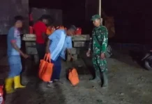 BNPB Salurkan Bantuan untuk Korban Banjir Bandang di Langkahan