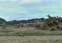 Pemkab Aceh Tamiang Percepat Pendataan Ulang Bantuan Rumah Rusak