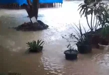 Hujan Deras Guyur Lhokseumawe, Halaman Sekolah Tergenang