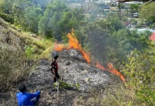 Karhutla di Lhokseumawe Capai 18 Kasus Awal 2026, Didominasi Wilayah Perbukitan
