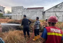 Kebakaran Lahan di Tumpok Teungoh Berhasil Dipadamkan dalam 10 Menit