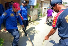 Damkar Lhokseumawe Evakuasi Biawak di Rumah Warga