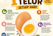 Pentingnya Konsumsi 1 Butir Telur Setiap Hari