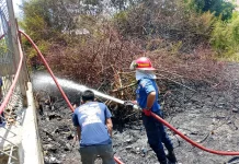Damkar Lhokseumawe Berhasil Padamkan Kebakaran Lahan di Desa Hagu Teungoh