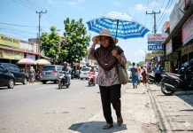 Menjaga Daya Tahan Tubuh di tengah Cuaca Panas, ini Pilihan Asupan yang Tepat