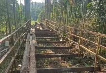 Danramil Sawang Tinjau Langsung Perbaikan Jembatan Gantung