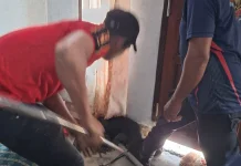 Damkar Lhokseumawe Evakuasi Biawak Masuk Rumah Warga Uteunkot