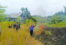 Damkar Lhokseumawe Bergerak Cepat Padamkan Kebakaran Lahan Uteunkot
