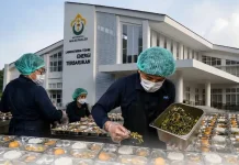 Rektor Universitas Malikussaleh Nyatakan Kesiapan Mengelola SPPG Masuk Kampus