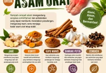 Rempah-Rempah yang Bermanfaat untuk Asam Urat