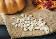 Protein Nabati dari Biji Labu, Camilan Sehat Kaya Nutrisi
