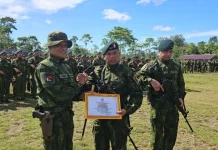 Pangkoops TNI Habema Lepas Purna Tugas Satgas Pamtas RI–PNG Mobile Yonif 113/JS