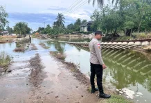 Warga Diimbau Waspada Pasang Purnama di Muara Batu