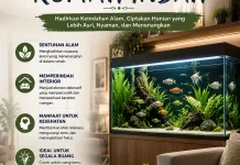 Sentuhan Alam di dalam Rumah