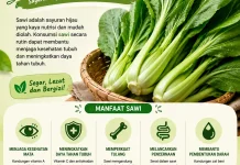 Manfaat Konsumsi Sawi+Nanas