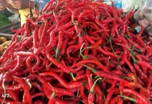 Harga Cabe di Pasar Inpres Lhokseumawe Stabil jelang Meugang Idul Adha