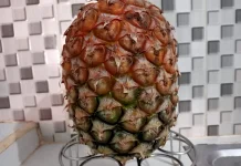ternyata Buah Nanas Memiliki Banyak Manfaat untuk Kesehatan Tubuh