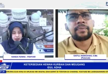 Stok Aman, Harga Hewan Kurban di Lhokseumawe Tetap Tinggi