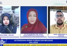 Stok Hewan Kurban dan Meugang di Lhokseumawe Aman