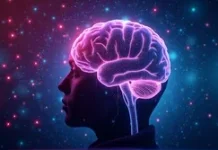 Ini yang Dilakukan Otak Manusia saat Kita Tidur di Malam Hari