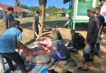 Warga Meunasah Blang Kandang Laksanakan Penyembelihan Qurban