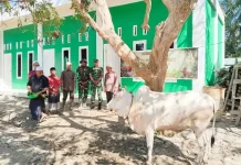 Danramil Hadiri Penyerahan Sapi Qurban Bantuan Kasad di Yayasan Malem Diwa
