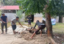 Julok Sembelih Hewan Kurban 86 Sapi 57 Kambing