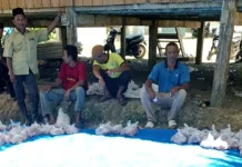 Warga Desa Buket Seuraja Antusias Sambut Pembagian Daging Kurban