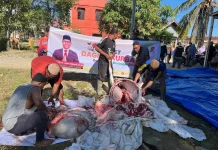 Anggota DPR RI Fraksi PKS. Nasir Djamil Salurkan 33 Hewan Kurban Idul Adha 1447 H