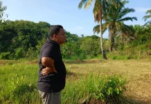 Warga Mulai Bersihkan Lahan Kosong untuk Ditanami Kelapa Sawit