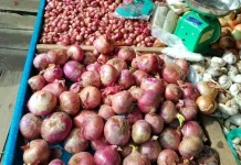 Awal Bulan Juni, Sejumlah Barang Komoditi Mengalami Penurunan Harga