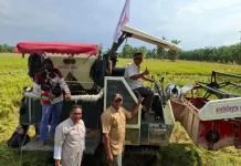 DPD Tani Merdeka Aceh Utara Soroti Pentingnya Ketersediaan Pupuk bagi Petani