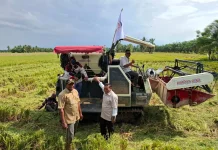 DPD Tani Merdeka Tinjau Pemanfaatan Combine Harvester Bantuan Presiden