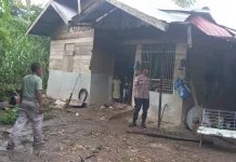 Dua Rumah Warga di Lhoksukon Tertimpa Pohon akibat Hujan dan Angin Kencang