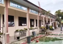 Progres Revitalisasi SD Negeri 4 Telah Capai 47 Persen