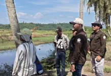 DKPPP Lhokseumawe Tinjau Rehabilitasi Tambak Pascabanjir di Ujong Pacu