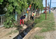 Pasca Sembilan Pasien DBD Dirawat, Camat Julok Gelar Gotong Royong