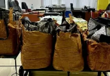 113 Kg Sabu dari Malaysia Digagalkan, Kurir Kabur ke Aceh Timur