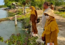 DKPPP Verifikasi Lokasi Rehabilitasi Tambak Pascabanjir di Kuala Blang Mangat