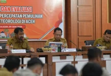 Mualem Minta Mendagri Percepat Pemulihan Sawah dan Infrastruktur